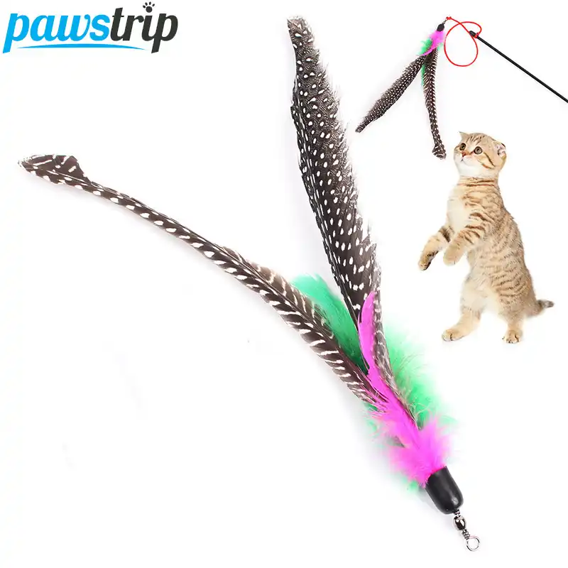replacement feathers for cat toys