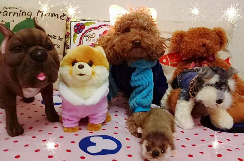 Dorimytrader lovely mini animal Shiba Inu plush toy soft quality animals akita dog doll baby gift decoration 28x22x13cm DY50136  (16)