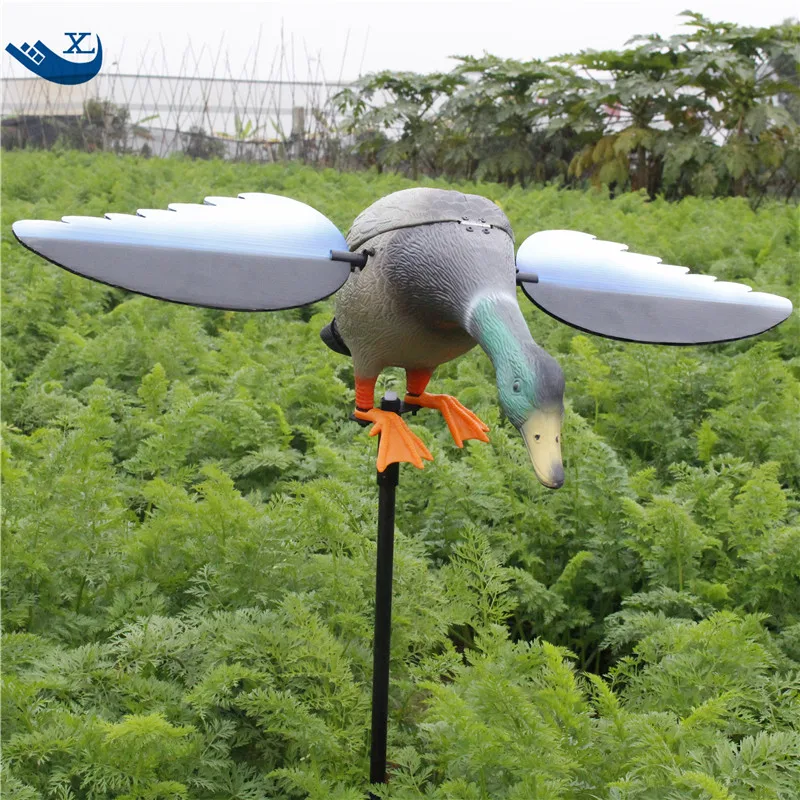 Hunting  Duck (17)