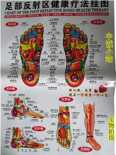 Foot