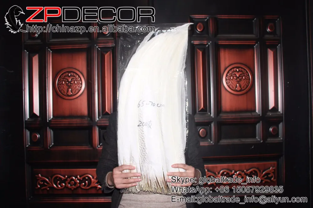 65-70cm silver pheasant feathers right (2)