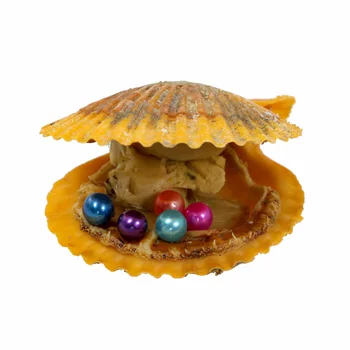 

.Mitilcolor 20Colors Round Pearl 2018 Hot Red Seawater Natural Pearl Gift DIY Decorations Vacuum Packaging Wholesale RR019