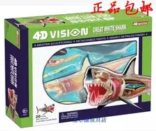 

4D MASTER Puzzle Assembling Animal Model Shark Anatomy assembled model 13.5cm*7cm*13cm free shipping
