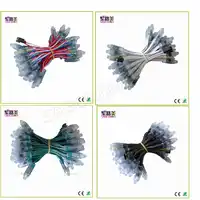 500pcs/lot DC5V 12V 12mm ws2811 ic LED Module Black/Green/White/RWB Wires String Christmas Holiday led Pixel light Addressable