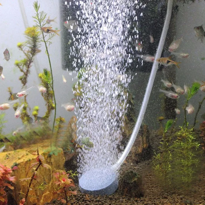 Пузырьковый каменный аэратор для аквариума насос для аквариума гидропонная кислотная пластина мини-Аквариумы воздушный компрессор 4 см
