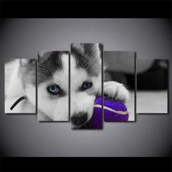 

Modern HD Printed Poster Canvas Art 5 Pieces Wall Art Blue Eyes Husky Painting Home Decor Dog Ball Play Modular Pictures