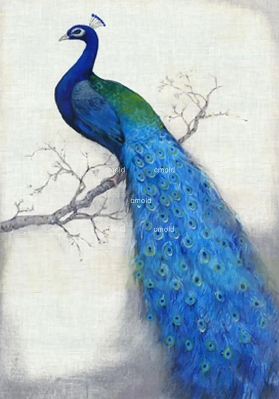 

Needlework Paintings Real Diamond Painting 2015 New 5d Peacock Embroidery Set Diamond Paste Picture Painting Party Punto De Cruz