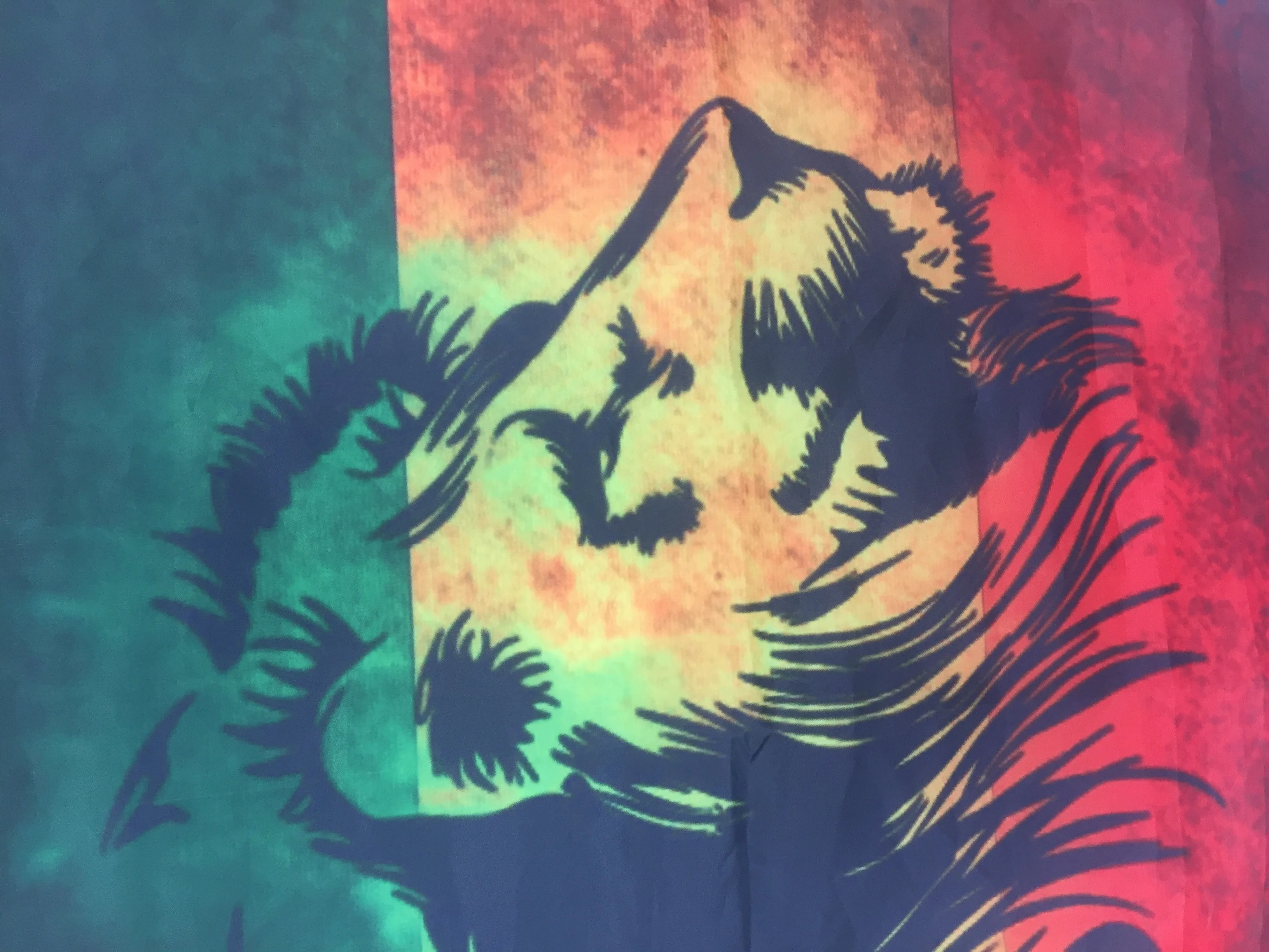 Drapeau reggae avec lion roi – Image 5