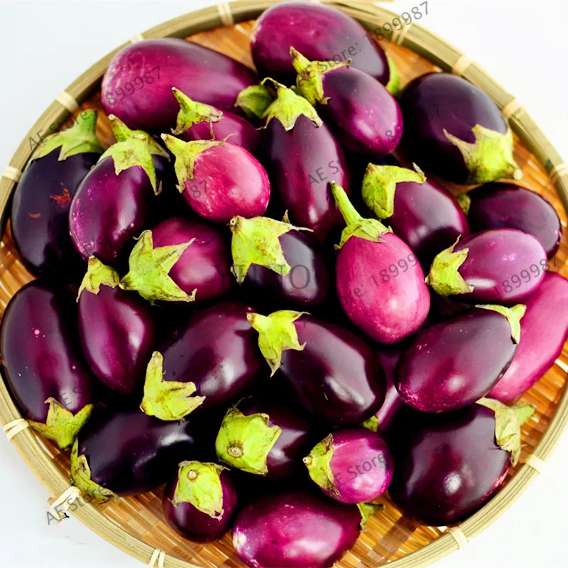 

200pcs/bag Red Eggplant bonsai -Organic and Non GMO Vegetable flores outdoor plant Vegetable plantas for Home Garden DIY