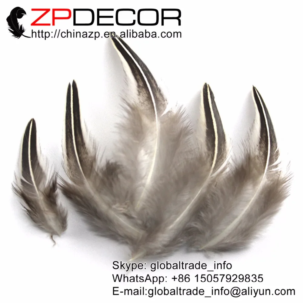 ZPDECOR 5 8cm(2 3inch) 50pieces/lot Special Wild Pheasant Plumage