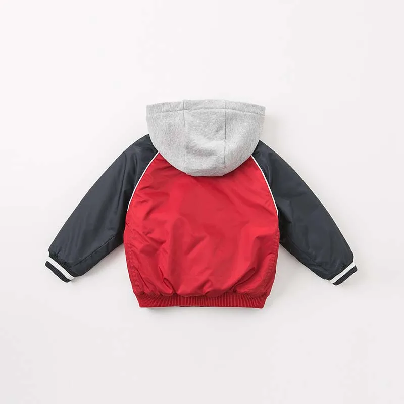 DBK8161 (10)