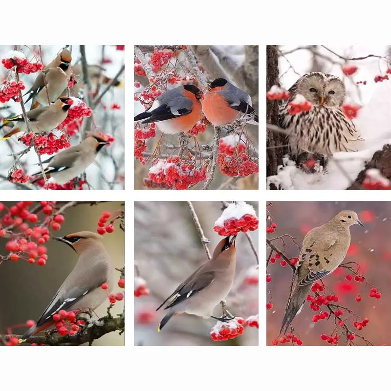 

Diamond Painting Cross Stitch Crystal square 5D Diamond Mosaic Rhinestone Decor Painting Icon Diamond Embroidery DIY Animal Bird