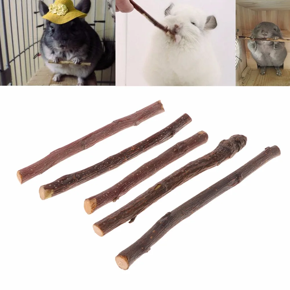5pcs Small Pet Chew Stick Apple Tree Branch Hamster Squirrel Natural