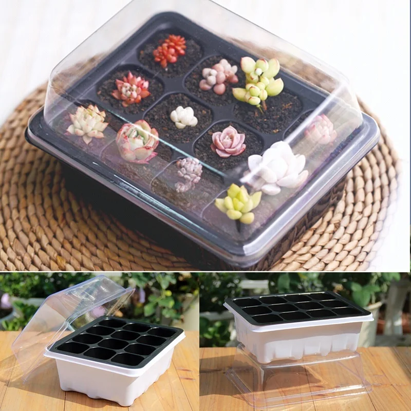 

Bonsai Seedling Tray Sprout Plate 12 Holes Nursery Plant Pots Tray Lids Box For Gardening Mini Greenhouse