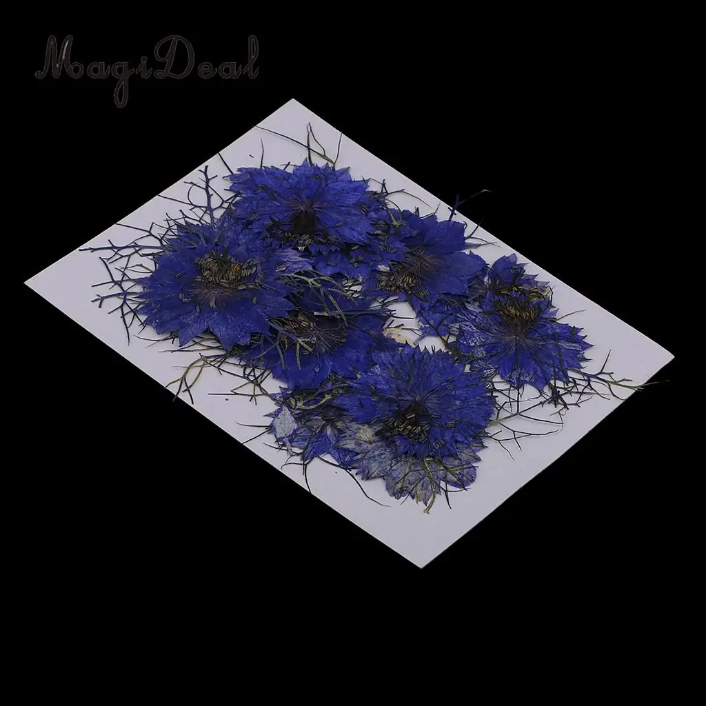 12pcs Love-in-a-mist Natural Pressed Real Dried Flower for Craft DIY Resin Ornaments