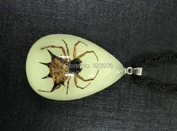 

FREE SHIPPING 24 pcs NEW REAL SPINY SPIDER GLOW DROP STYLE LUCITE PENDANT TAXIDERMY GIFT
