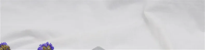 (3)