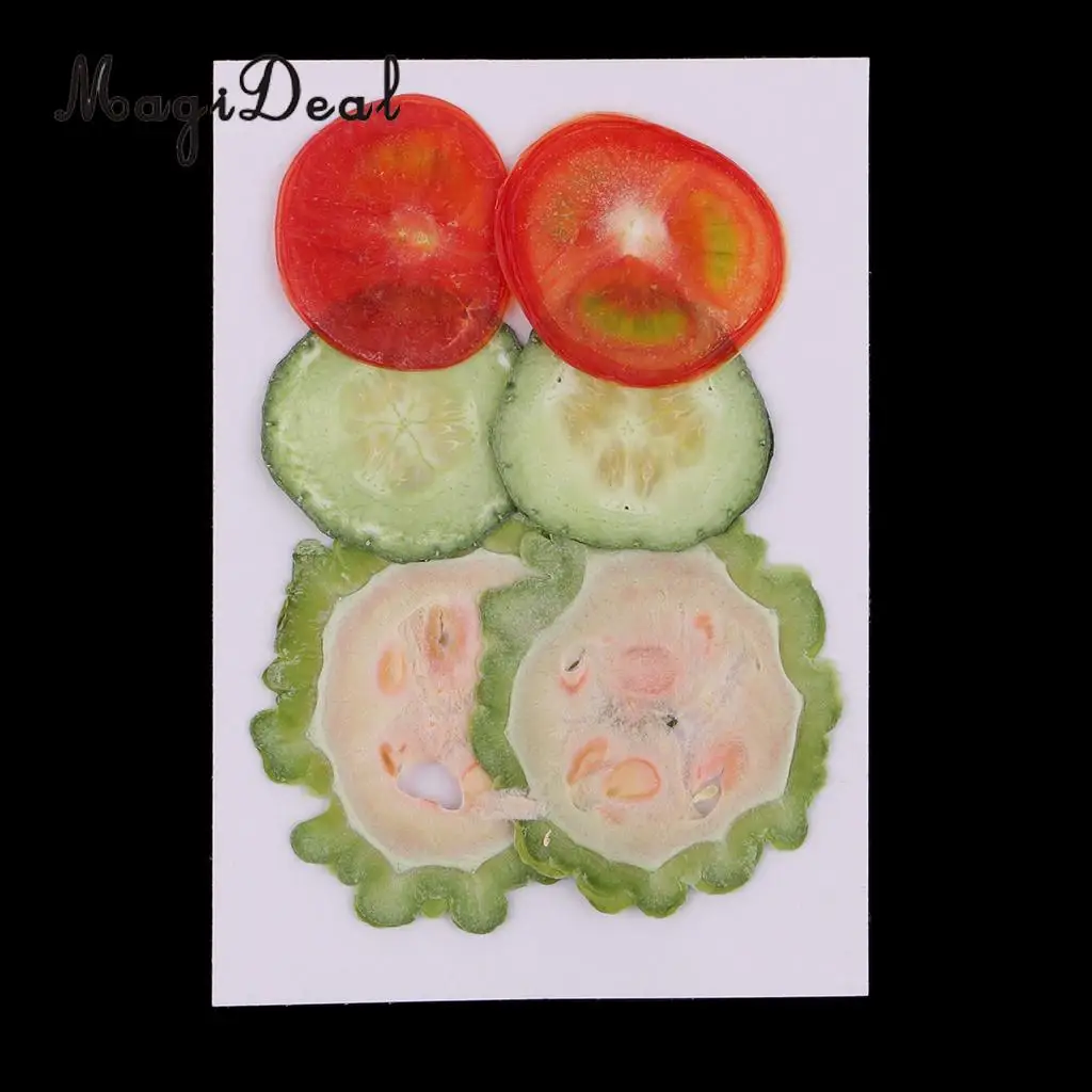 6Pcs Mix Dried Pressed Fruits Slices Plant Herbarium For Epoxy Resin Jewelry Making Phone Case Craft DIY Scrapbooking Decoration