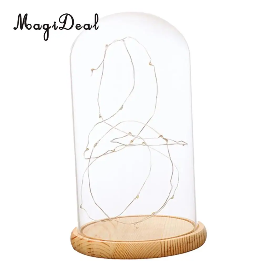 Glass Display Dome Cloche With Suspended LED Lights Tabletop Lamp Wedding Holiday Decor Crafts