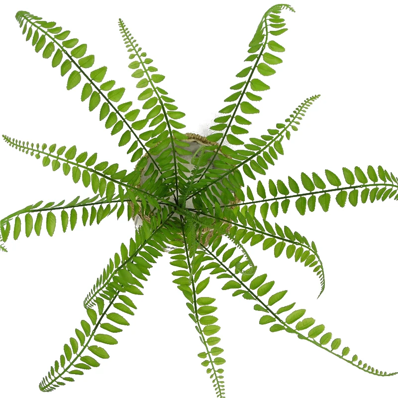 53 см 15 вилки искусственные растения персидский лист цветок трава Настоящее сенсорный Моделирование поддельные листья папоротника для дома
