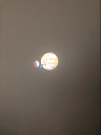 _20181218100613