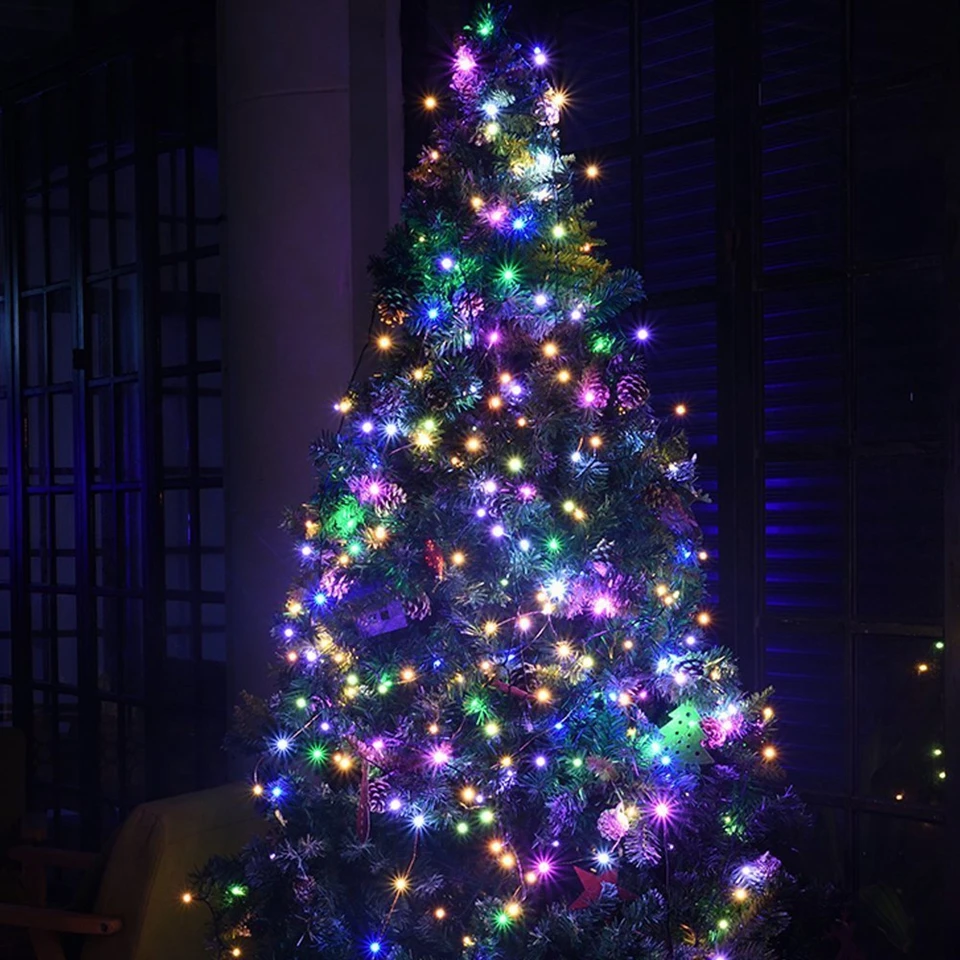 Holiday string lights (13)