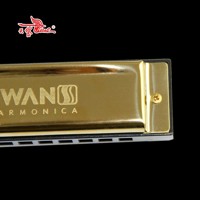10 Hole 2D Tone Blues Harmonica / Copper Reed Plate & Cover Plate Golden Square Bruce Harmonica with Plastic Box / Mouth Organ