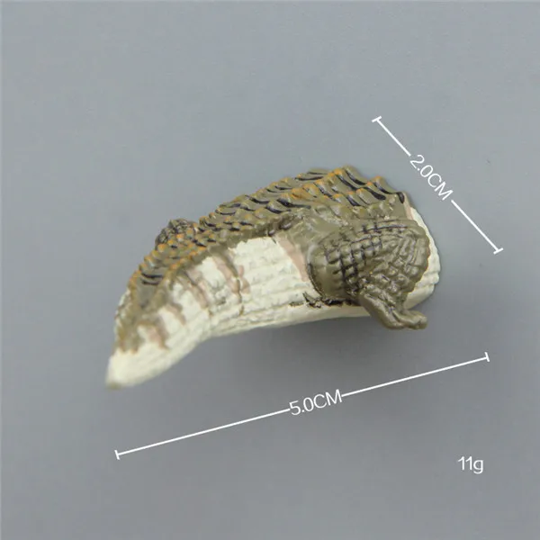 Funny Animals Big Jaws Body and Butt Fridge Magnets - Crocodile Butt