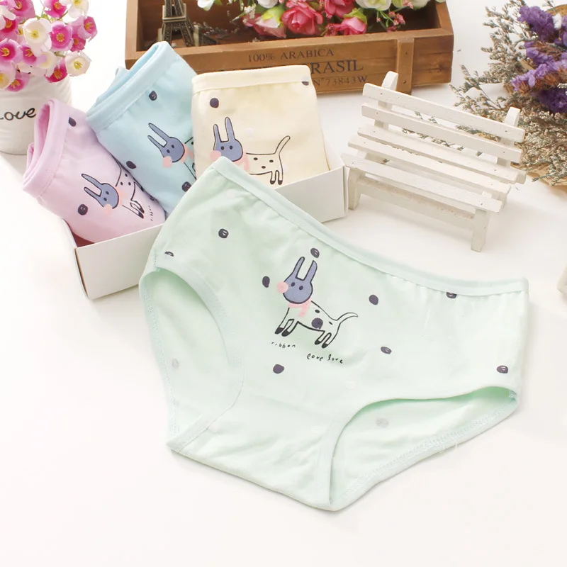

New arrived 2019 Girls Underwear Free Shipping Fashion Kids cotton character children panties briefs 4pcs/lot 2-10year