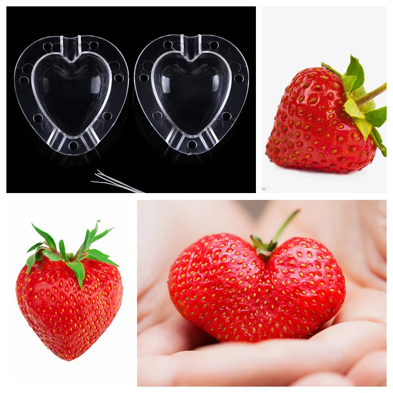 WHISM креативная форма для выращивания фруктов для огурца, яблока, клубники, звезды/в форме сердца Прозрачная форма для выращивания для сада