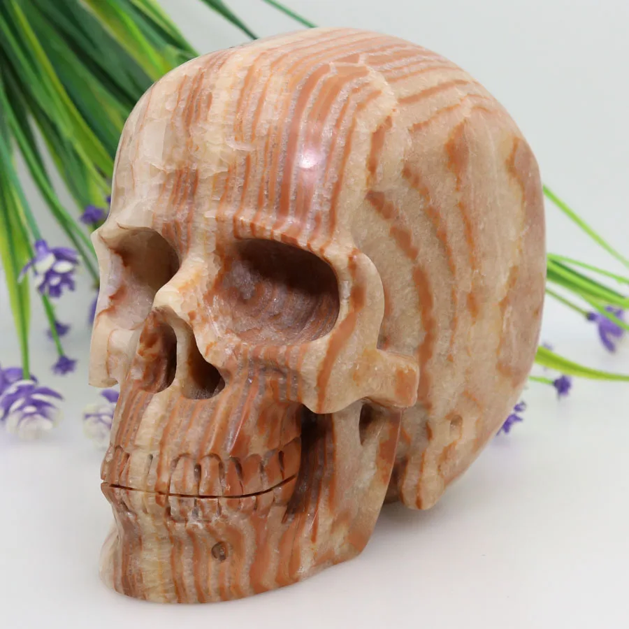 

5.95" 2364g Stripe JASPER Carved Crystal Skull Crystal Realistic Healing Furnishing Articles Figurine AL21