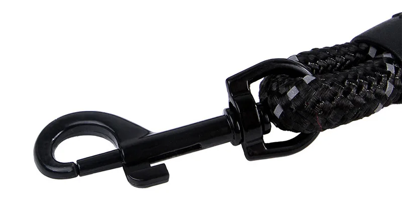 dog walking leash-