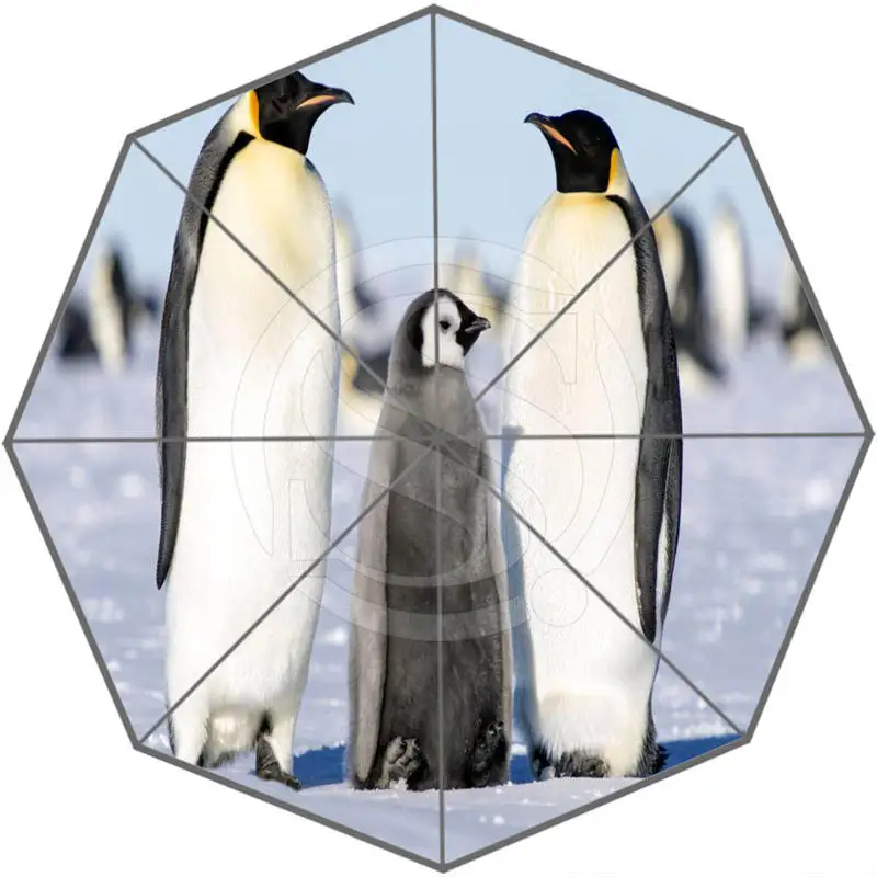 Hot Sale Cool Cute penguins Adults Universal Design Fashion Foldable Sun and Rain Umbrella Free Shipping SQ0602-P98 | Дом и сад