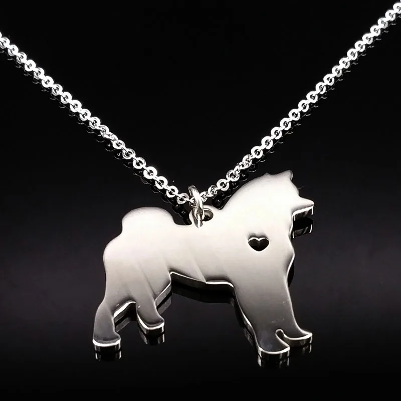 Collana in acciaio inossidabile con cane Akita per donna Collane in acciaio inossidabile color argento Gioielli Collana migliore amico n1446s01_voghion.com