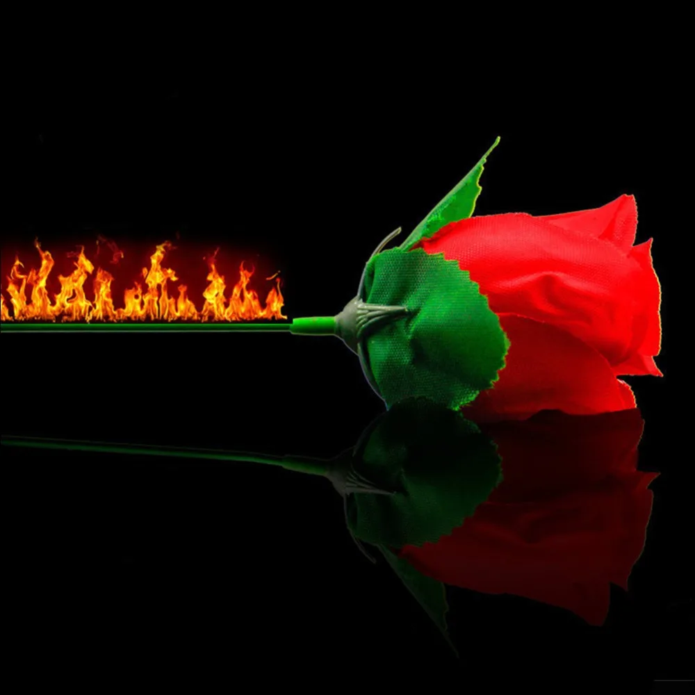 

Magic Props Trick Fire Torch To Rose Flower Stage Performance Skill Show Kit