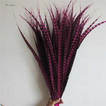 

50pcs 28-32inche/70-80cm natural Lady Amherst Pheasant Feather rose pheasant feathers for carnival party costumes decoration