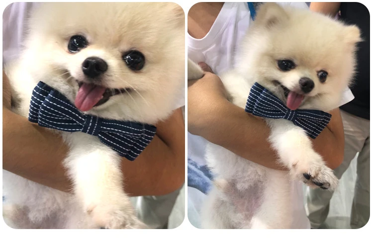 9466702333_1300616989