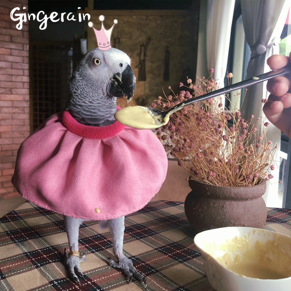 Кармашек для риса Gingerain одежда с птицами Parrot оригинальный кармашек ручной работы