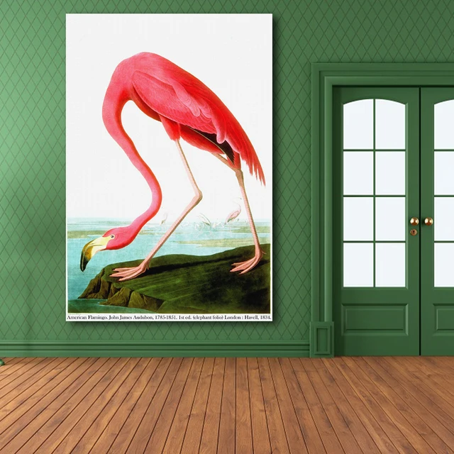 Amerikaanse Flamingo Door John James Audubon Print Originele Enorme Amerikaanse Flamingo Door John James Audubon Print Originele Enorme Poster Voor Muur Decor Canvas