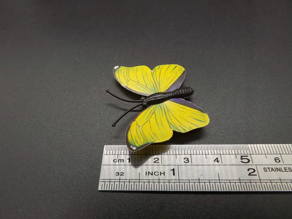 I259-Butterfly (11)