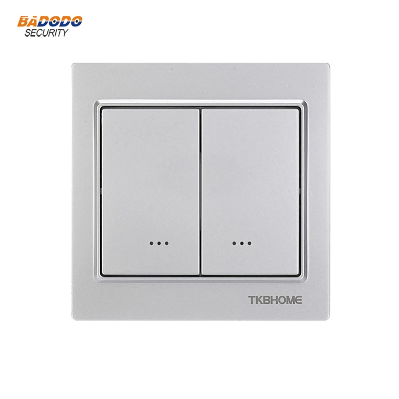 TZ55D silver