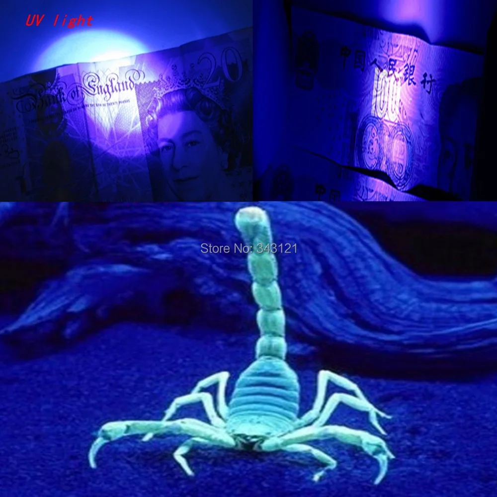 UV light.jpg