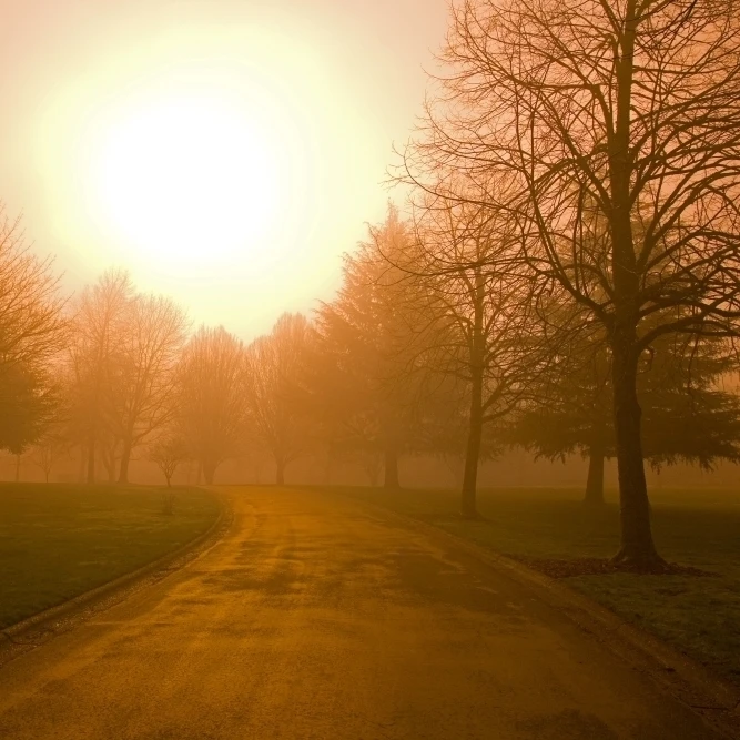 Sunrise Over Country Road  Oregon  United States Of America Poster Print (17 x 11)