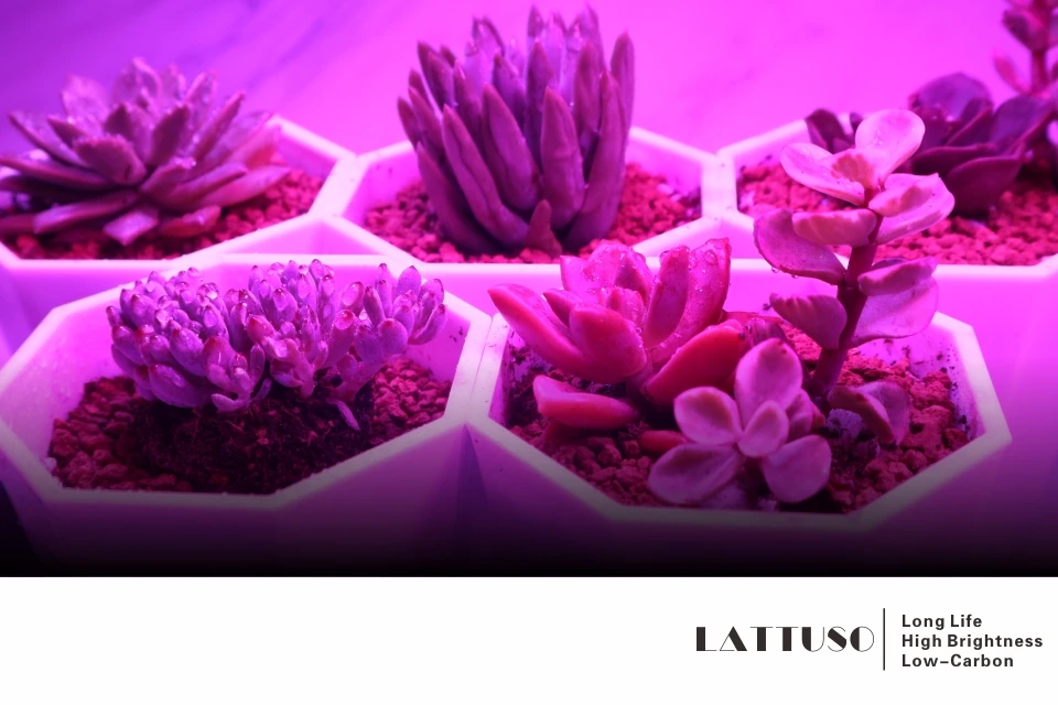 LATTUSO 18 Вт 28 Вт 30 Вт 50 Вт 80 Вт E27 Светодиодный светильник для выращивания гидропоники светильник ing для цветочной гидропоники системы комнатных садовых тепличных растений
