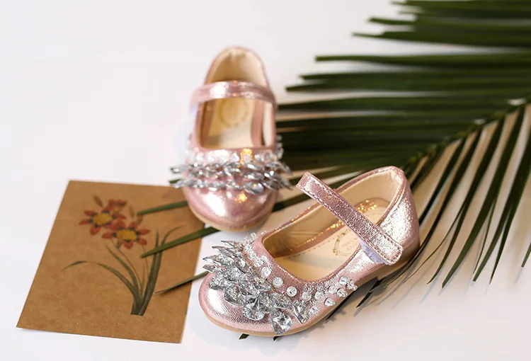 8552260138_1439264587