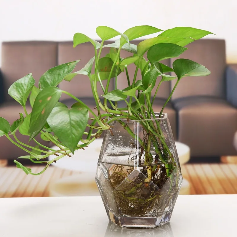 

Terrarium Glass Vase Hydroponic Plant Flower Clear Container Indoor Hanging Flower Glass Bottle Home Decor Transparent Vases