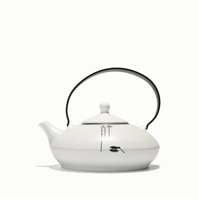 Пинни китайский дзен подъемная ручка чайники с фильтром белый фарфор чайники керамический чайный набор кунг-фу 550 мл чайник - Цвет: B