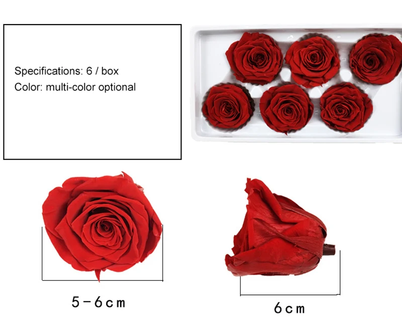 5-6cm01