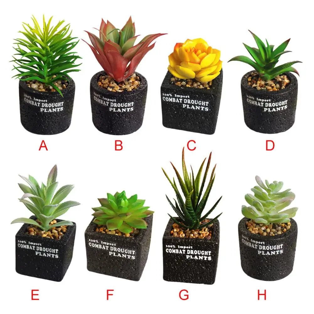 Innovative Decorative Flower Artificial Fleshiness Cactus Aloe Succulent Plant Bonsai Local Landscape Home Balcony Decoration Innovative Decorative Flower Artificial Fleshiness Cactus Aloe Succulent Plant Bonsai Local Landscape Home Balcony Decoration
