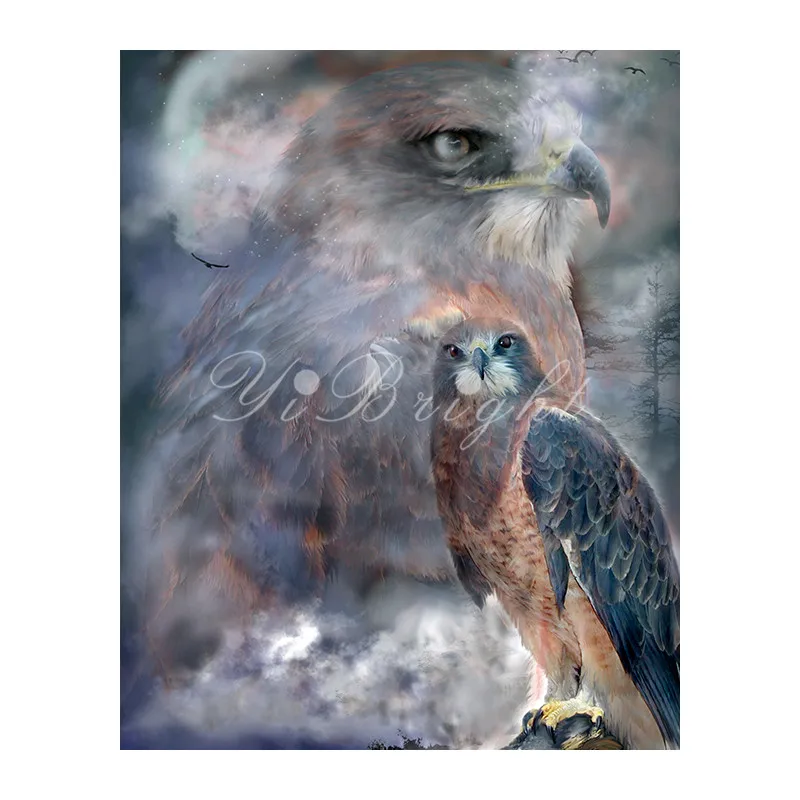 HawkSpirit_PWD_